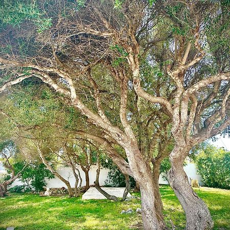 STARBAL Love Suites Es Castell  Extérieur photo